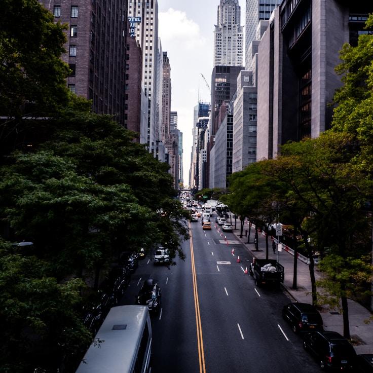 Family routine and school logistics in Amsterdam